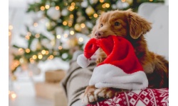 25014-Did you forget something