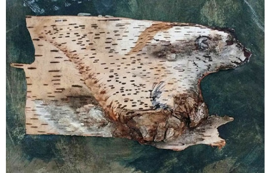 25008-Polar Bear Birch Bark