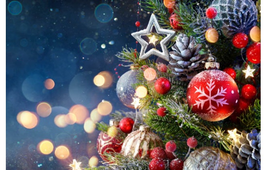 25012-Twinkle Little Star