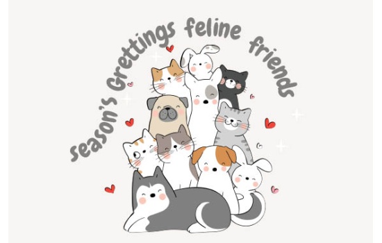 25024-Feline Friends Greetings