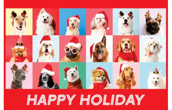 25032-Styling Puppies