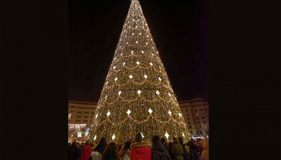 Large Tree